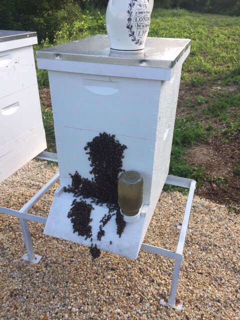 image-0-02-01-6bd8f7b077de107189b029b65b5a9c9eb93ae095d0891595f5ce6a4186513929-V